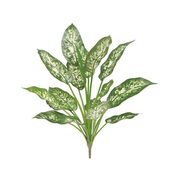 人工植栽 タカショー 和風下草 ディフェンバキア L60cm Gn 72 の通販はau Pay マーケット キロwowma 店
