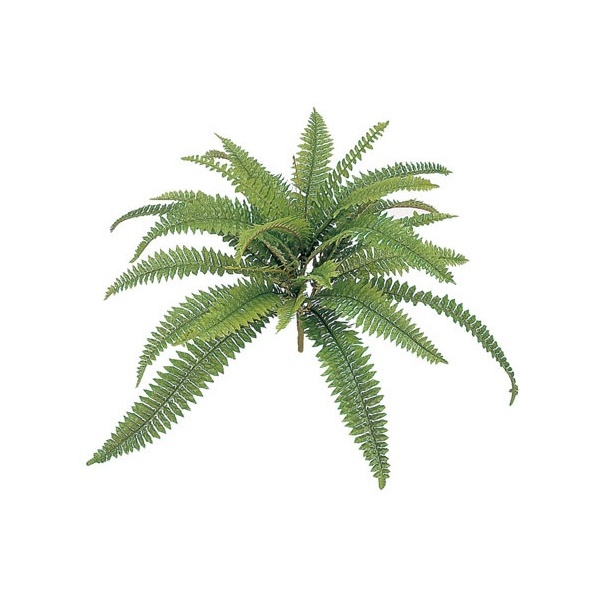 人工植栽 タカショー 和風下草 クイックボストン大 W60cm Gn 45l の通販はau Pay マーケット キロwowma 店