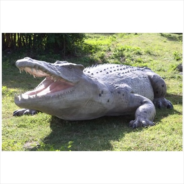 Frp 巨大クロコダイル Crocodile 28ft 動物園オブジェ アニマルオブジェ 店舗 ホテル向の通販はau Pay マーケット キロwowma 店