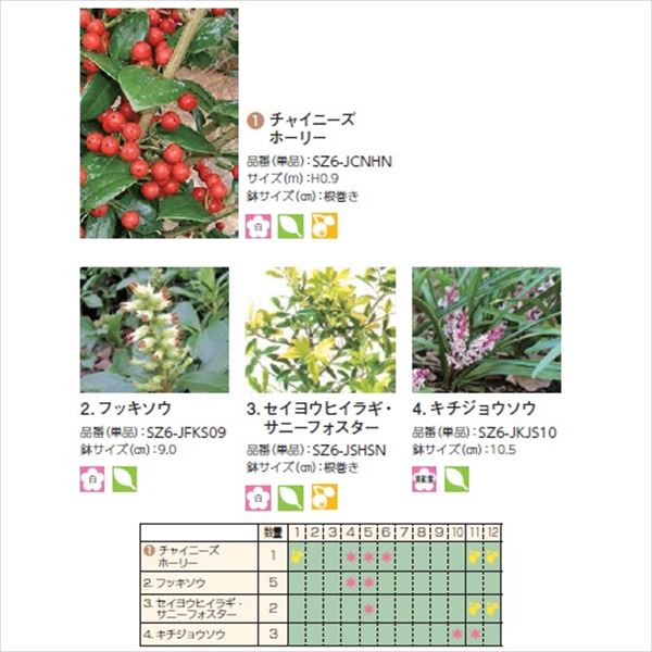 Sale 送料無料 オンリーワン 目的で選ぶ 植栽セット ハッピー チャイニーズホーリー 鬼門除け Sz6 Set08 クライマックスセール Kindermomma Com