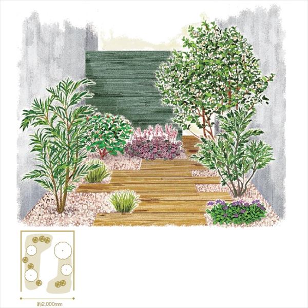 オンリーワン 目的で選ぶ 植栽セット シェード ハイノキ 日陰用 Ye6 Set05 の通販はau Pay マーケット キロwowma 店