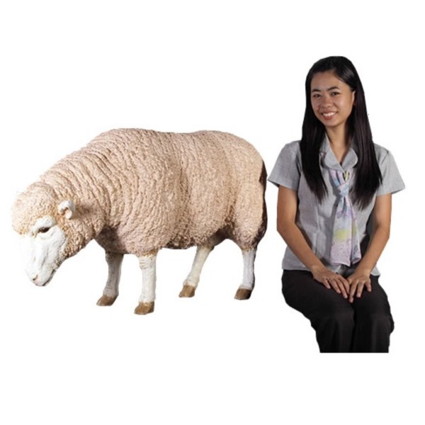 Frp メリノ種のひつじ Merino Ewe 動物園オブジェ アニマルオブジェ 店舗 ホテル向け の通販はau Pay マーケット キロwowma 店