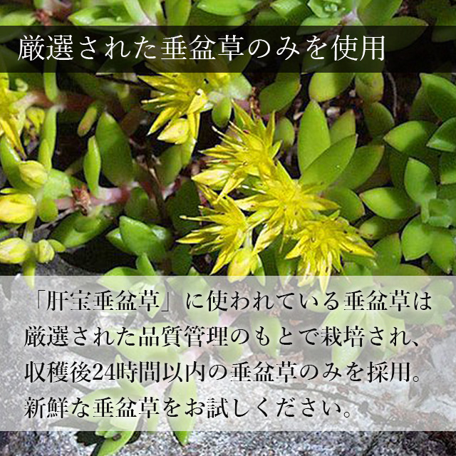 【送料無料】肝宝垂盆草（かんぽうすいぼんそう）　270粒　（栄進商事）_1