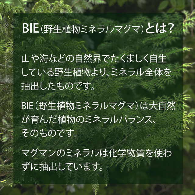 【送料無料】マグマン ハイパワーマグマン 110g_1