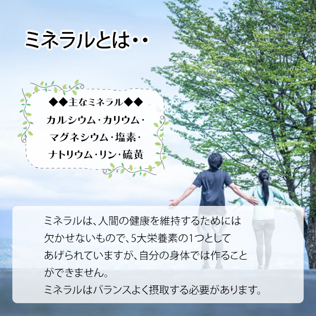【送料無料】マグマン ハイパワーマグマン 110g_2
