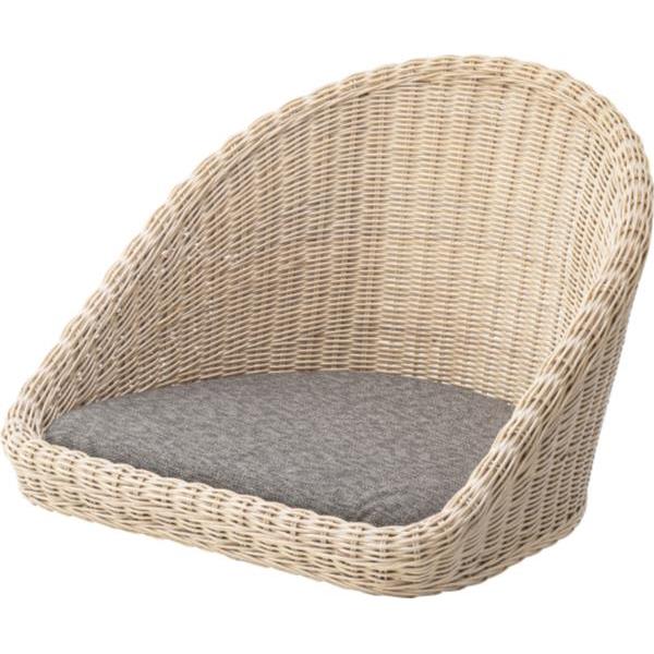 ojk cp02ハード（アルペン用）24-25