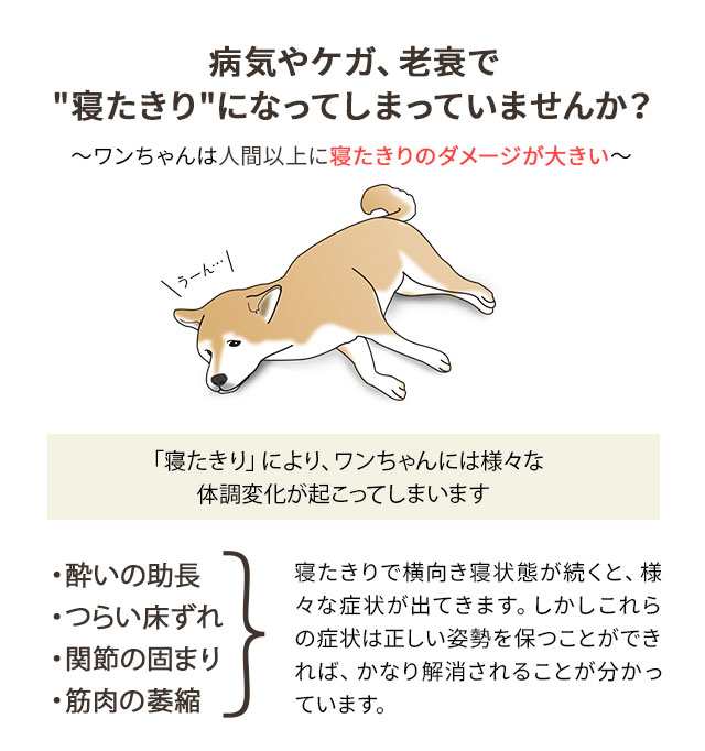 介護用 ドッグベッド Lサイズ XLサイズ 洗える 床ずれ 寝たきり 防止