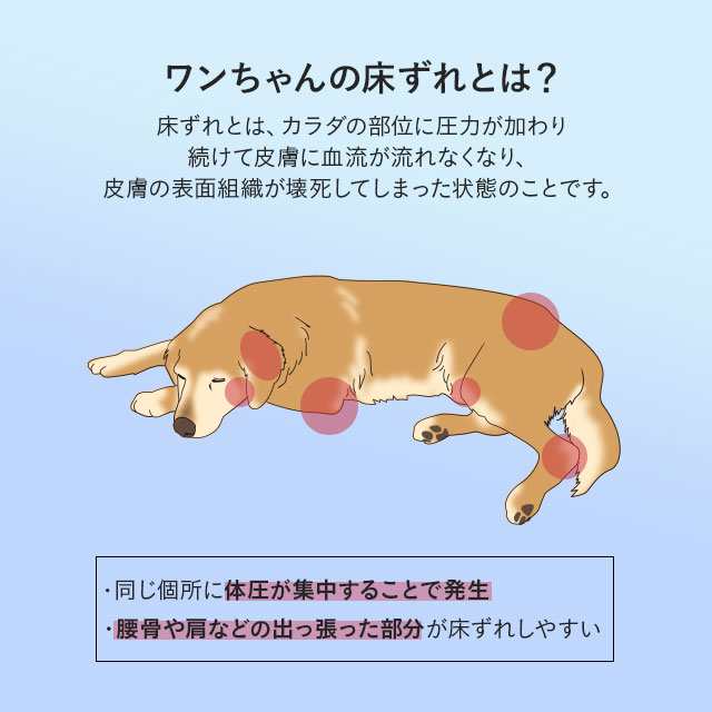 マットレス 犬用 床ずれ 防止 クッション ペット用 床ずれ防止マットｌサイズ ｘｌサイズ 介護マット 小型犬 中型犬 大型犬 シニア犬 老の通販はau Pay マーケット エムール Emoor布団 家具