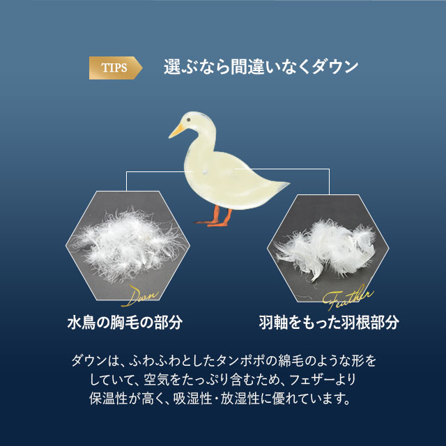 日本製 羽毛布団 キング ロイヤルゴールドラベル 非圧縮 収納ケース付き ループ付き 新合繊 軽量 掛け布団 羽毛ふとん 国産 羽毛 ホワイト 布団 ホワイトダックダウン 93％ あったか 北欧 春 夏 秋 冬 オールシーズン 白 新生活 ギフト 送料無料_7