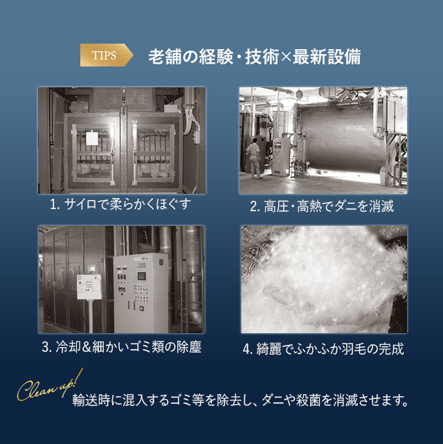 日本製 羽毛布団 キング ロイヤルゴールドラベル 非圧縮 収納ケース付き ループ付き 新合繊 軽量 掛け布団 羽毛ふとん 国産 羽毛 ホワイト 布団 ホワイトダックダウン 93％ あったか 北欧 春 夏 秋 冬 オールシーズン 白 新生活 ギフト 送料無料_12