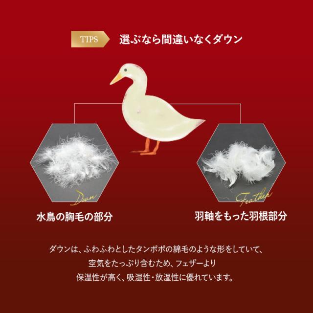 羽毛布団 水鳥羽毛 100% 掛け布団