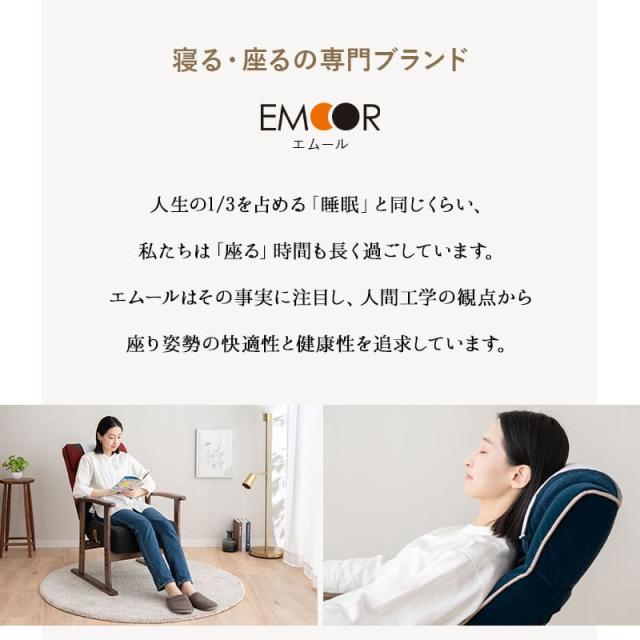 JR東日本コラボ 北陸新幹線 E7系 ポケットコイル 高座椅子 普通席 グリーン席 リクライニングチェア パーソナルチェア 肘付き 調節可能 椅子 いす イス チェア 高座いす 一人用 1人用 コンパクト 軽量 おしゃれ 実用的 花以外 母の日 父の日 ギフト 送料無料_2