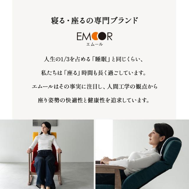 JR東日本コラボ 山形新幹線 E8系 ポケットコイル 高座椅子 普通席 グリーン席 リクライニングチェア パーソナルチェア 肘付き 調節可能 椅子 いす イス チェア 高座いす 一人用 1人用 コンパクト 軽量 おしゃれ 実用的 花以外 母の日 父の日 ギフト 送料無料_2