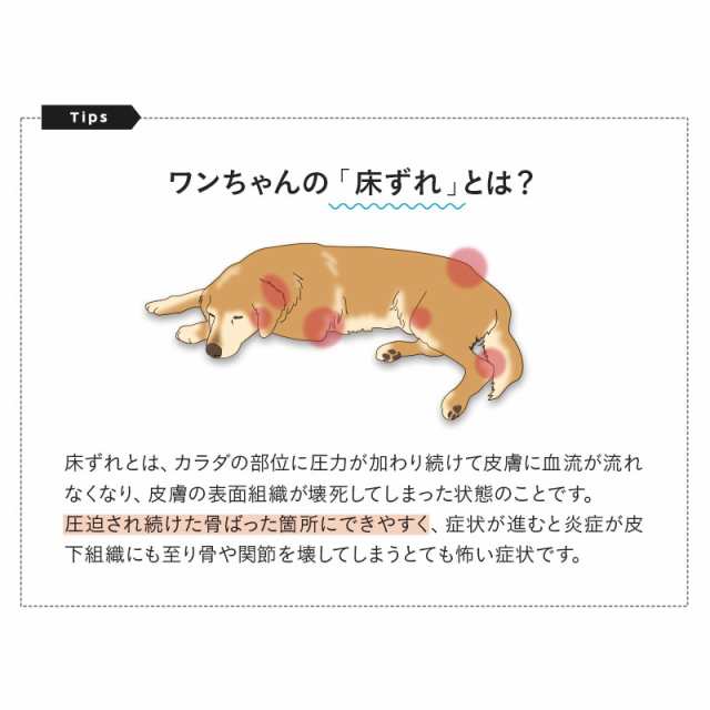 犬 介護 マット ベッド 床ずれ 防止 ペット シニア ケア クッション