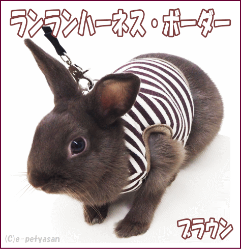 レインボー うさぎのハーネスランランハーネス ブラウン の通販はau Pay マーケット 小動物用品専門店e ペット屋さん