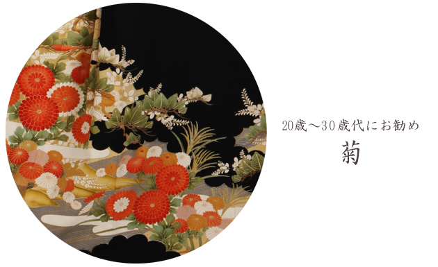 留袖 レンタル 小柄な方 NT-s206 黒留袖フルセット 結婚式 20代 30代