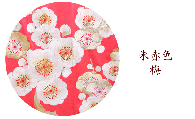 引き振袖レンタル 朱 色振袖 黒引き振袖 NT-232 ピンク 梅 キュート 花嫁 送料無料 引き振袖レンタル 朱 色振袖 黒引き振袖 NT-232 ピンク 梅 キュート