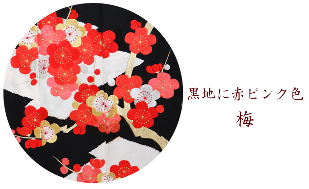 引き振袖レンタル 黒 色振袖 黒引き振袖 NT-238 黒地 梅 花嫁 送料無料