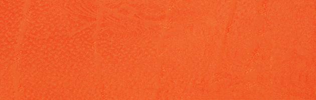 色無地 レンタル 袷〔10月〜5月向き〕オレンジ色 お宮参り 送料無料 NT