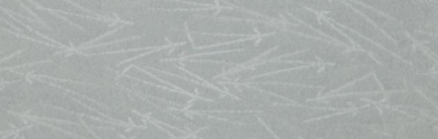 色無地 レンタル 袷〔10月〜5月向き〕グレー色 お宮参り 送料無料 NT