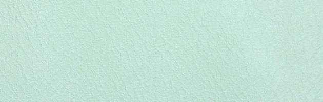 色無地 レンタル 袷〔10月〜5月向き〕ブルー色 お宮参り