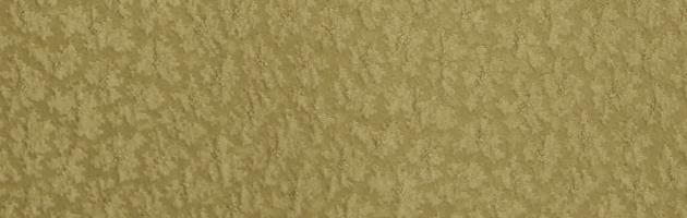 色無地 レンタル 袷〔10月〜5月向き〕黄土色 お宮参り 送料無料 NT-77