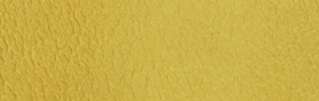 色無地 レンタル 袷〔10月〜5月向き〕からし色 お宮参り 送料無料 NT