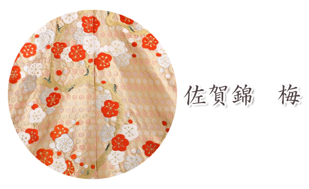 打掛 レンタル 色打掛 金色 佐賀錦 梅 ラメ ゴールド 花柄 NT-378 送料無料 打掛 レンタル 色打掛 金色 佐賀錦 梅 ラメ ゴールド 花柄 NT-378 送料