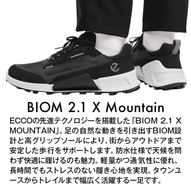 エコー メンズ シューズ バイオム 2.1 X マウンテン 北欧 デンマーク 高機能 高品質 レザー 本革 防水 スポーツ カジュアル 通勤 通学 旅行 おしゃれ 男性 紳士_1