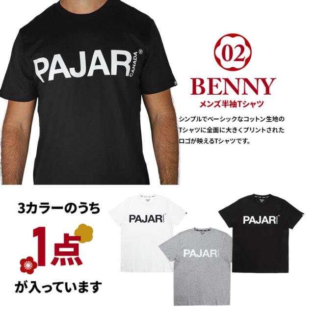 福袋 2024年 メンズ アウター ライトアウター スウェット パーカー キャップ 裏起毛 ジャケット ポケッタブル パッカブル Tシャツ Pajar CANADA 4点の通販は