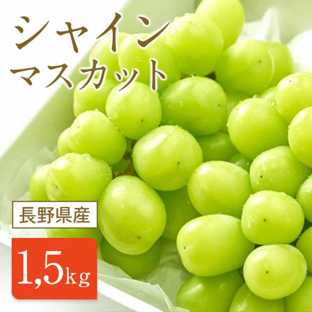 長野県産 シャインマスカット1.5kg(2〜5房) 種無し 皮ごと 数量限定