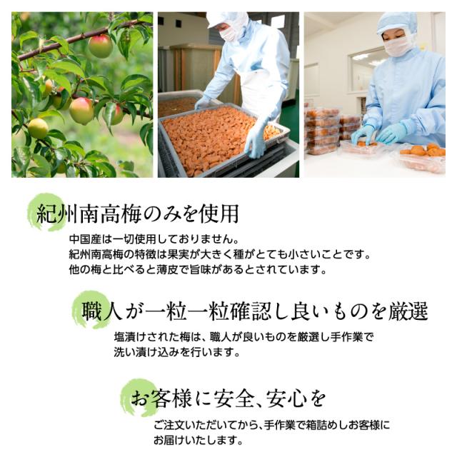 梅干し お徳用セット 4kg(500g×8) 南高梅 減塩 一冨士 紀州南高梅 国産 和歌山県産 梅干 うめぼし 低塩分 グルメ_8