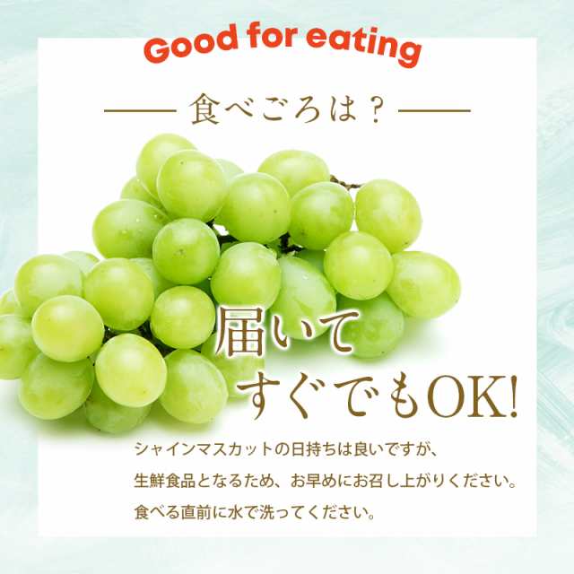 長野県産 シャインマスカット1.5kg(2〜5房) 種無し 皮ごと 数量限定