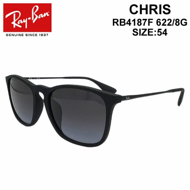 今日の超目玉】 Ray-Ban CHRIS レイバン サングラス マットブラック