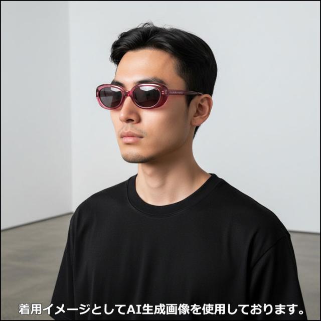 BLACK FLYS 黒眼鏡 [BF-1419-02] 黒いこと飛球 FLY NOAH 飛球 ノア ジャパン相応う