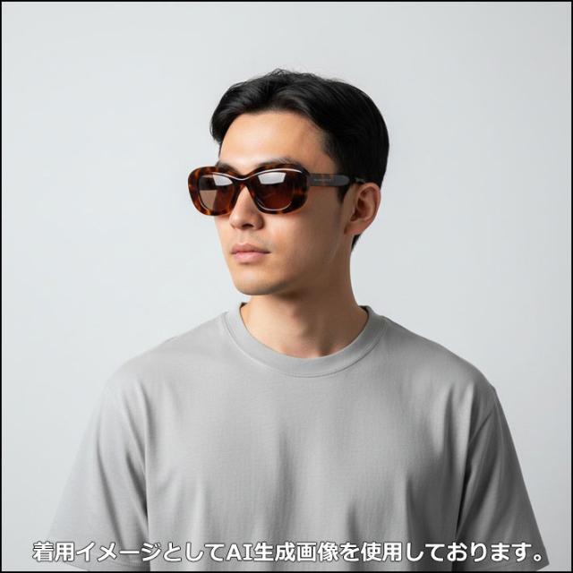 BLACK FLYS 黒眼鏡 [BF-1420-04] 黒いこと飛球 FLY CAVALIER 飛球 キャバリア ジャパン相応う