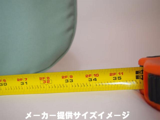 SHORT PAC PET スケートボードバッグ Venicepac ベニスパック スケボーバック CARVER カーバー_6