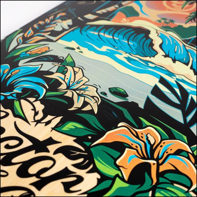 SECTOR9 セクターナイン AINA STRIKER 36.5インチ CARVING サーフスケート オフトレ 陸トレ スケートボード SK8_4