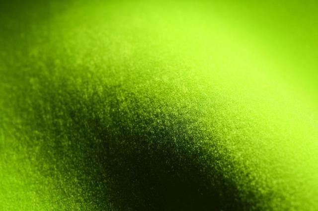 2025 MAGIC マジック 冬用 サーフキャップ 1.8mm Prime α FLEXFIT CAP プライムキャップ フレックスフィット  サーフィンキャップ サーフィンフード 冬 防寒 グッズ [MG-5]