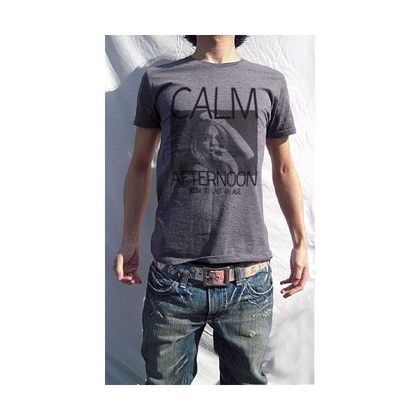 送料無料 Dial9up キレイ フォト キレイな言葉 大人向け スタイリッシュ デザインｔシャツ デザイン Calm Afternoonの通販はau Pay マーケット Pochitto