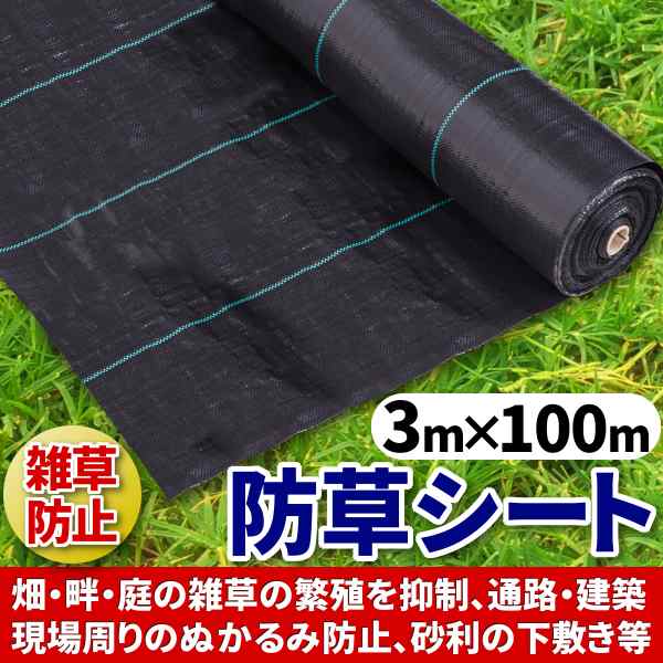 防草シート 3 ｍ 100 ｍ 大面積専用 1本 100メートル ソーラーパネル 向け 除草 園芸 シート 庭 ガーデニング 黒 ブラック 農用の通販はau Pay マーケット バリュー