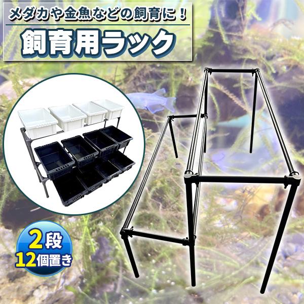 メダカ飼育黒ラック 2段12個置き めだか飼育棚 めだか飼育棚 容器棚 めだか容器産卵撮影 ビオトープ ゾウリムシ PSB ミジンコ 培養 針子_1