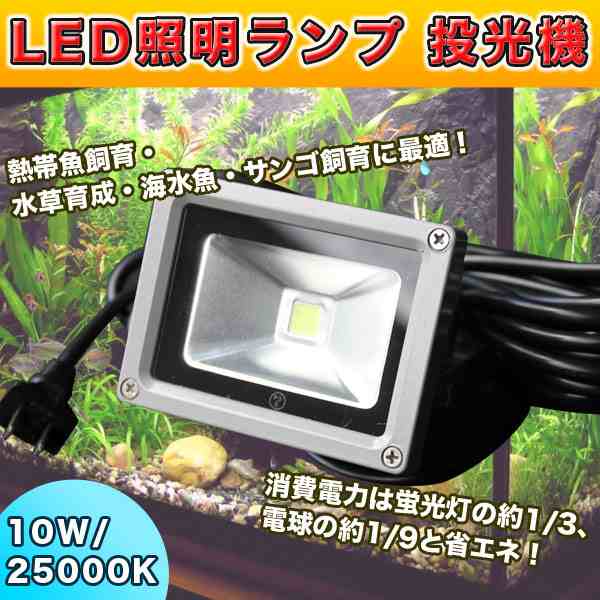 高輝度 Led 照明 ランプ k 10w サンゴ 水草 熱帯魚 海水魚 飼育 アクアリウム 水槽 投光器 防水 100vの通販はau Pay マーケット バリュー