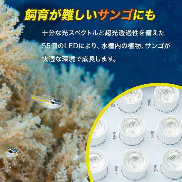 水槽 LED ライト 海水魚 サンゴ 水槽用 165w カスタム 本体 UV6個