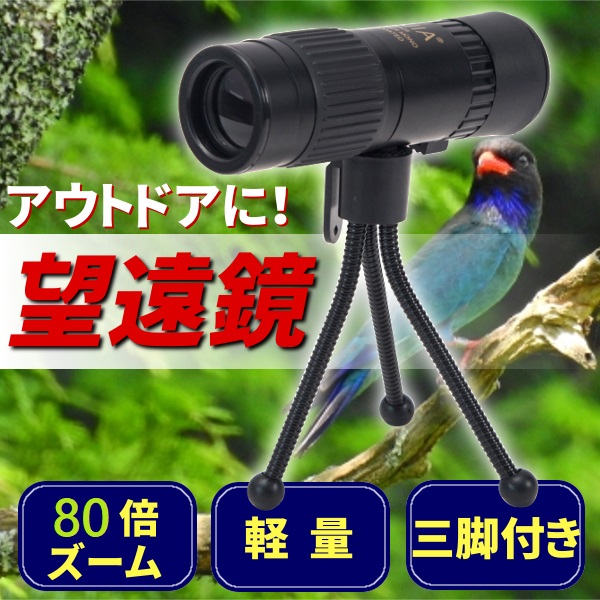 ズームレンズと三脚のセット あらいぐま Nikon 1 J5 ＋ 望遠、単焦点