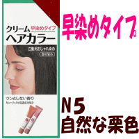 資生堂クリームヘアカラーｎ N５ 自然な栗色 の通販はau Pay マーケット ドラッグストアマツダ