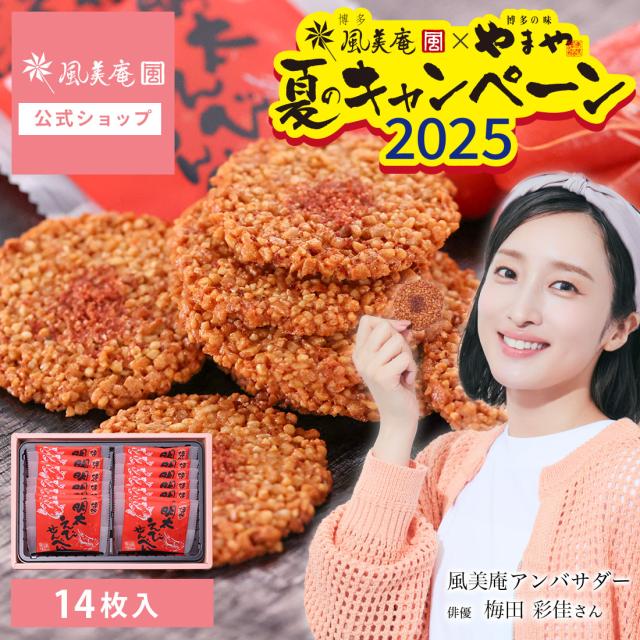 お中元 ギフト ★梅田彩佳さん公式キャラクター★海老と明太子がピリッと辛いせんべい「博多明太えびせんべい」(14枚入) 即日発送（宅急便発送） proper