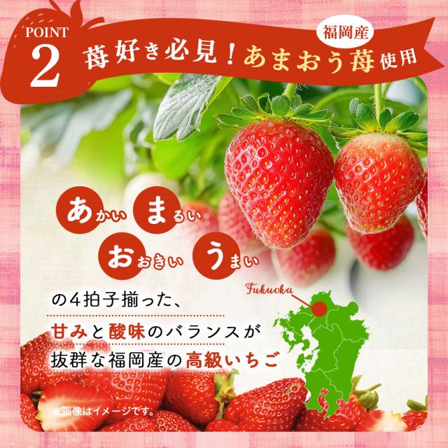 専用　　　あと苺　様 いちご いちご adidas ZX 8000