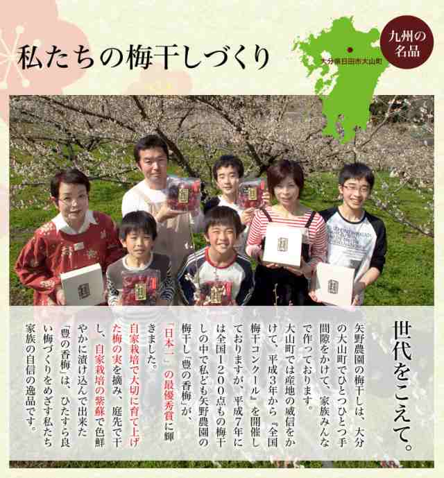 梅干し 500g 豊の香梅 大分県大山町産 送料無料 - 梅干し