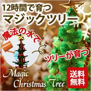 クリスマス ツリー 卓上 ミニ マジッククリスマスツリー 12時間で育つ不思議なツリー メール便 送料無料 の通販はau Pay マーケット おとぎの国